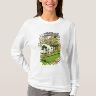 T-shirt Asie, Chine, Yunnan, Honghe.  Terrasses de riz à p