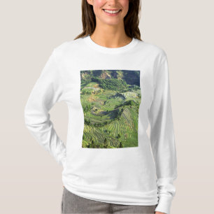 T-shirt Asie, Chine, Yunnan, Yuanyang. Motif de vert
