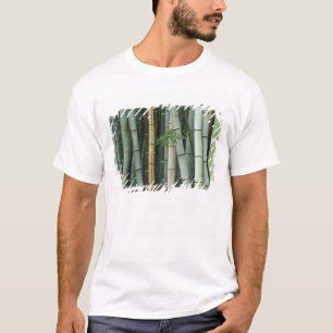 T-shirt Asie, Japon, Kyoto, Arashiyama, Sagano, Bambou