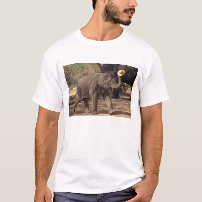T-shirt Asie, Thaïlande, Lampang Bowing avec casquette - T (Devant)