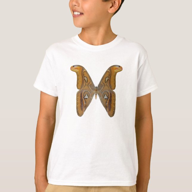 T-shirt Atlas Moth (Devant)