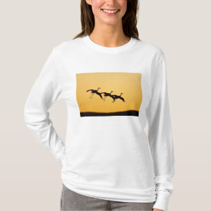 T-shirt Atterrissage de la grue de Sandhill au coucher du 