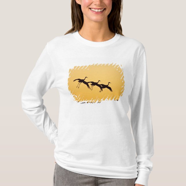 T-shirt Atterrissage de la grue de Sandhill au coucher du  (Devant)