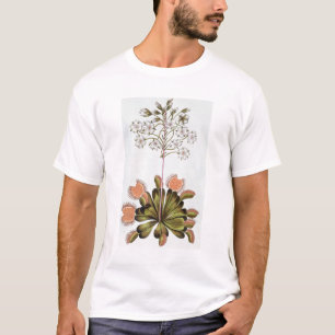 T-shirt Attrape-mouche de Vénus, plat 84, de 'collection