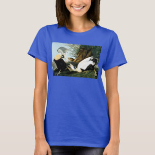 T-shirt Audubon : Canard d'Eider