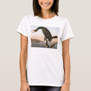 T-shirt Audubon : Double Cormorant crêté