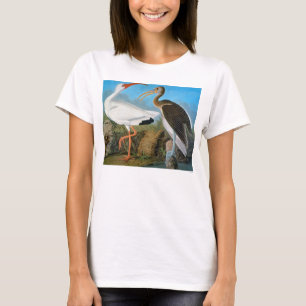 T-shirt Audubon : Ibis blanc