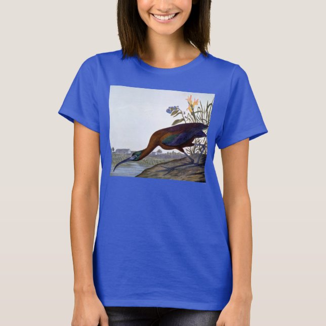 T-shirt Audubon : Ibis brillant (Devant)