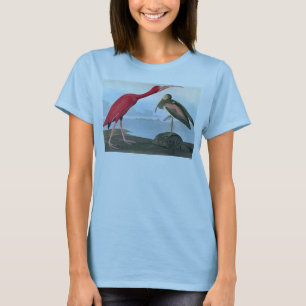 T-shirt Audubon : Ibis écarlate