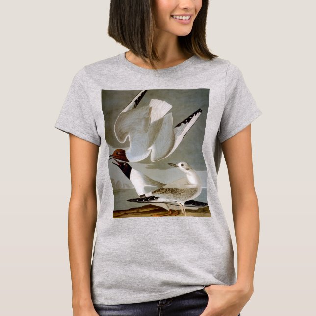 T-shirt Audubon : La mouette de Bonaparte (Devant)