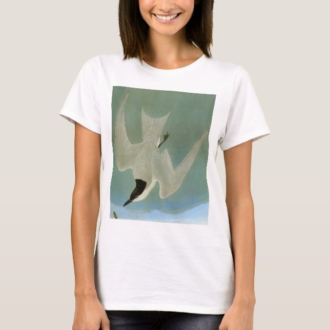 T-shirt Audubon : Sterne Mouette-Affichée (Devant)