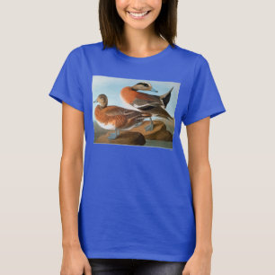 T-shirt Audubon: Wigeon