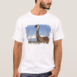 T-shirt Australie, Australie occidentale. Emu (Dromaius)