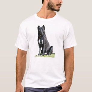 T-shirt avec grand chien assis