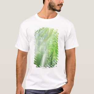 T-shirt Axes de lumière du soleil