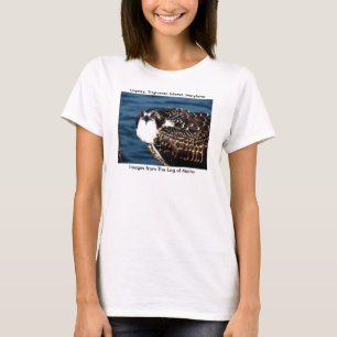 T-shirt Balbuzard, île de Tilghman, port de cornouiller,