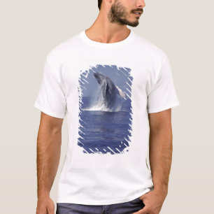 T-shirt Baleine à bosse faisant une cabriole (Megaptera