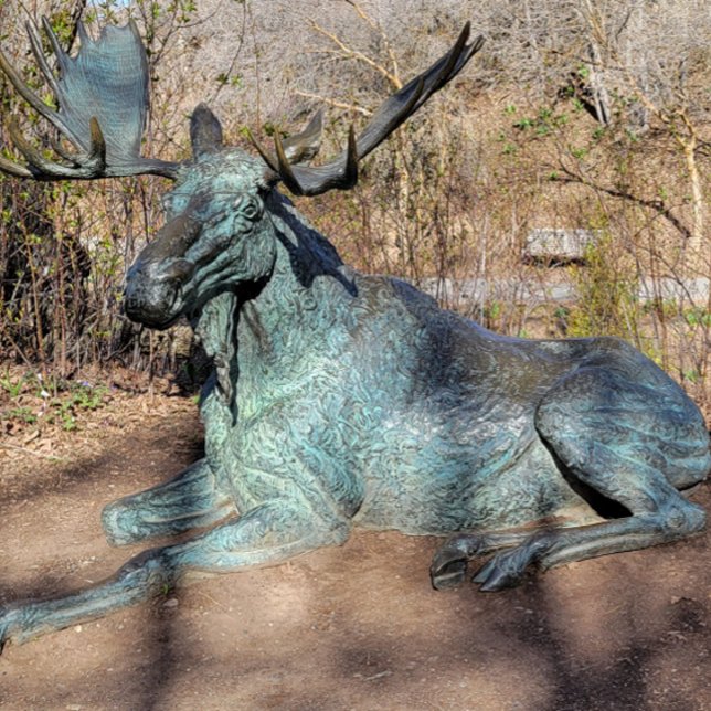T-shirt Ballerina & Robot (Créateur téléchargé)