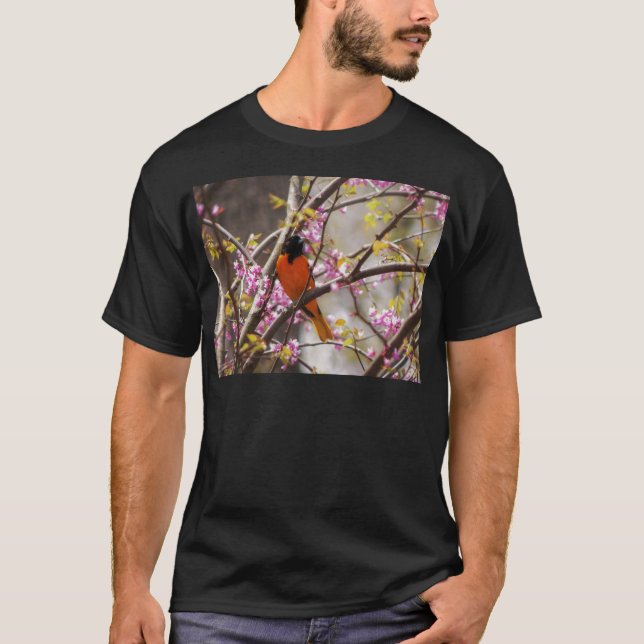 T-shirt Baltimore Oriole (Devant)