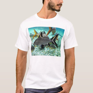 T-shirt Banc des poissons dans le printemps, Espagne