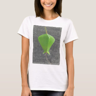 T-shirt Barringtonia Acutangula
