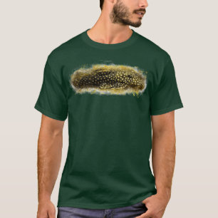 T-shirt Baryancistrus xant baryancistrus xant