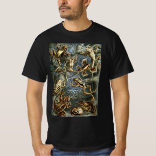T-shirt Batrachie de grenouilles vintages et de crapauds p