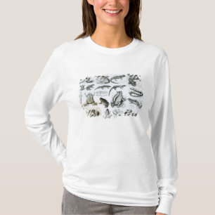 T-shirt Batraciens et d'autres amphibiens