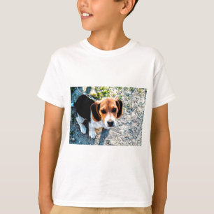 T-shirt Beagle mignon