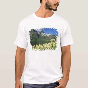 T-shirt Beargrass près du col Logan National Gacier
