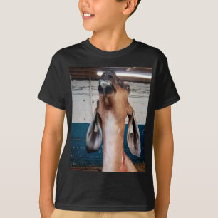 T-shirt Beau