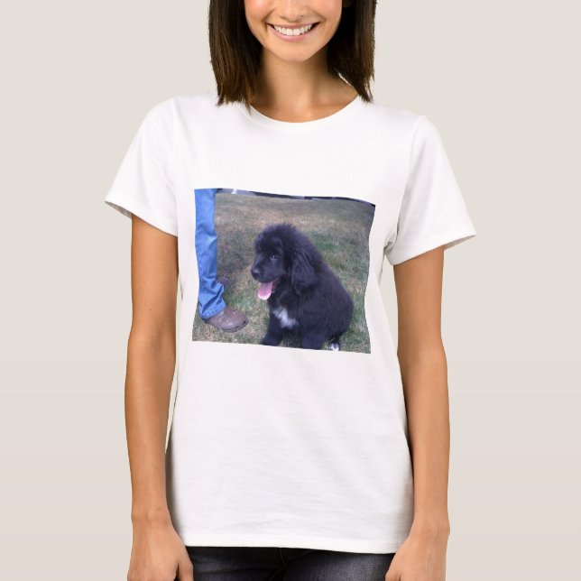 T-shirt Beau chiot de Newfie (race de chien de (Devant)