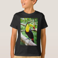 Beau toucan