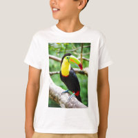 Beau toucan