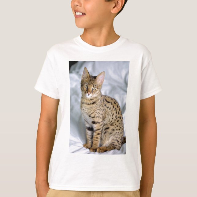 T-shirt Beau visage de chat mou du Bengale (Devant)