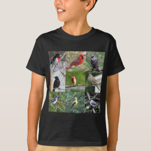 T-shirt Beaux oiseaux