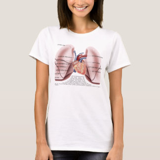 T-shirt Bébé de dames d'anatomie de coffre - chemise de