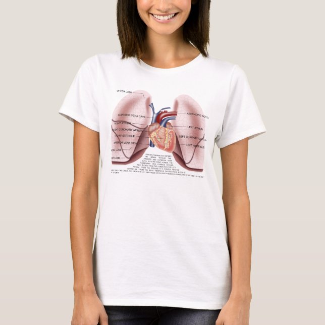 T-shirt Bébé de dames d'anatomie de coffre - chemise de (Devant)