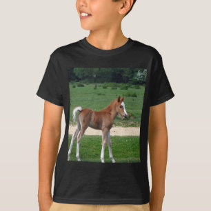 T-shirt Bébé mignon Destin Dons Cadeaux Springtime Adorabl