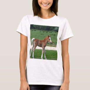 T-shirt Bébé mignon Destin Dons Cadeaux Springtime Adorabl