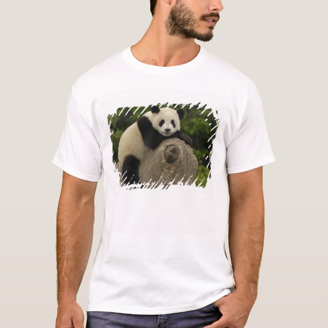 T-shirt Bébé panda géant (Devant)