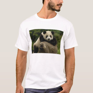 T-shirt Bébé panda géant Ailuropoda melanoleuca)