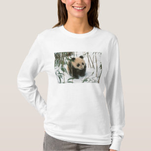 T-shirt Bébé panda sur la neige, Wolong, Sichuan, Chine