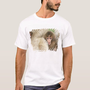 T-shirt Bébé singe des neiges, Jigokudani, Nagano, Japon