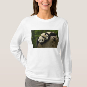 T-shirt Bébés pandas géants (Ailuropoda melanoleuca)