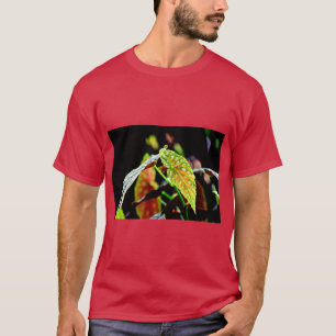 T-shirt Bégonia à ailes d'ange botanique