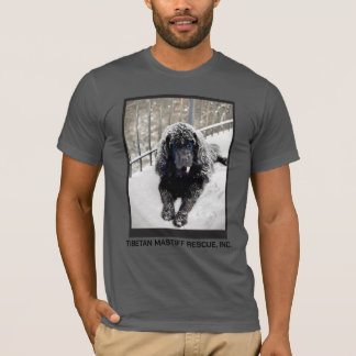T-shirt Bentley Grey T shirt