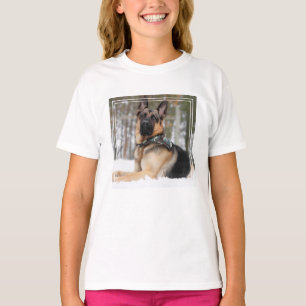 T-shirt Berger Allemand En Neige