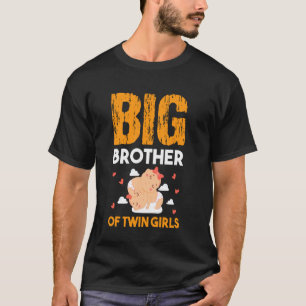 T-shirt Big Brother Of Twin Girls Baby Siblings Family Sis