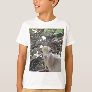 T-shirt Billy Goat